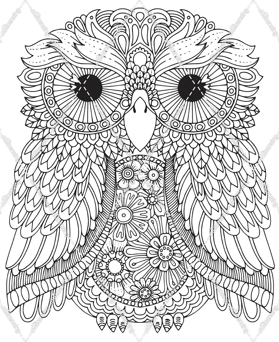 Karmin Owl