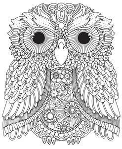 Karmin Owl