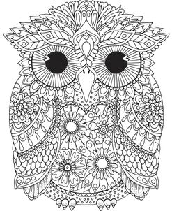 Melvin Owl