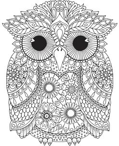 Melvin Owl