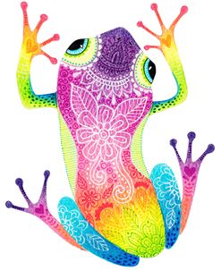 Rainbow Frog