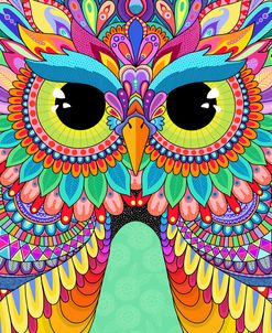 Rainbow Hoot