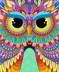 Rainbow Hoot