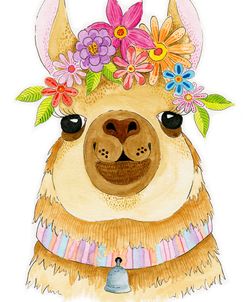 Llama Cutie