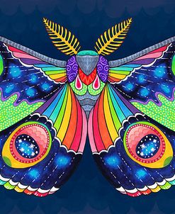 Midnight Rainbow Moth