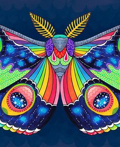 Midnight Rainbow Moth