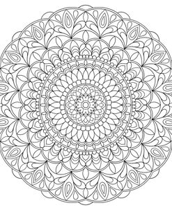 Intricate Mandalas 1