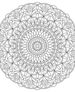 Intricate Mandalas 1