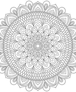 Intricate Mandalas 2