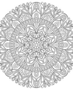 Intricate Mandalas 10