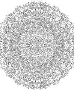 Intricate Mandalas 11