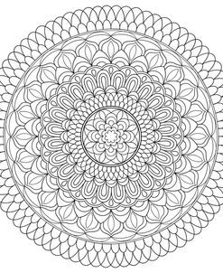 Intricate Mandalas 5