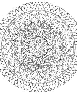 Intricate Mandalas 5