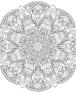 Intricate Mandalas 14