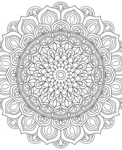 Intricate Mandalas 15