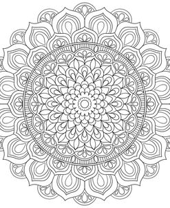 Intricate Mandalas 15