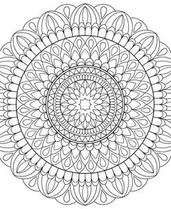Intricate Mandalas 16