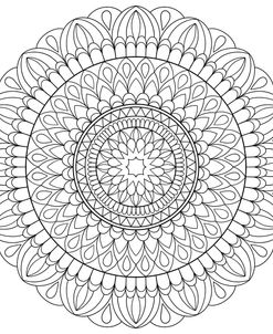 Intricate Mandalas 16