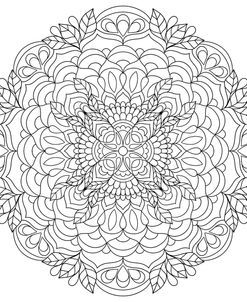 Intricate Mandalas 17