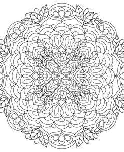 Intricate Mandalas 17