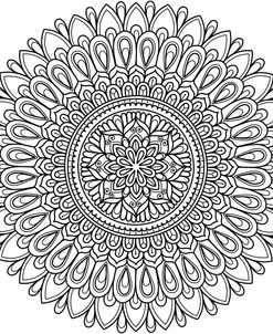Intricate Mandalas 31