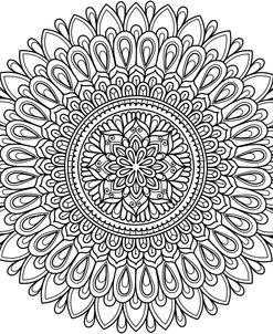 Intricate Mandalas 31