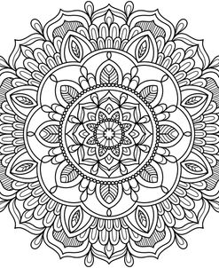 Intricate Mandalas 38