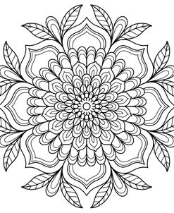 Intricate Mandalas 43