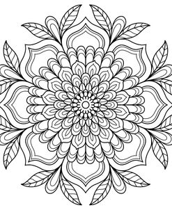 Intricate Mandalas 43