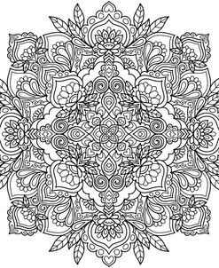 Intricate Mandalas 45