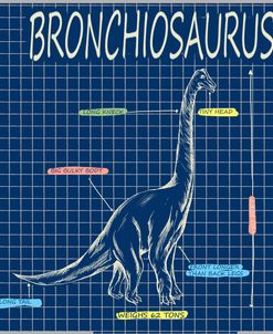 Facts Broncho Colour