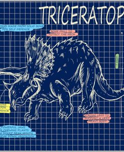 Facts Triceratops Colour