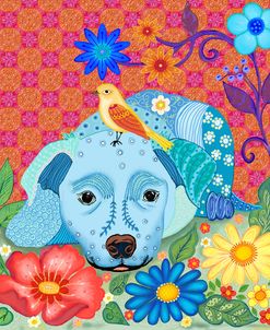 BLUE DOG