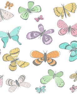 Sketch Book Butterfly