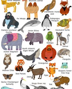 A-Z Some Of The Endared Animals