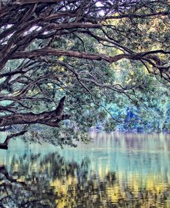 A Place To Dream