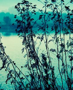 Blues In The Morning