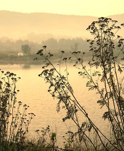 Morning Pastels