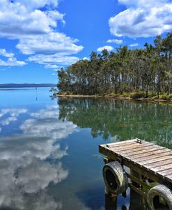 Afternoon Reflections