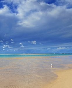 The Entrance Beach 1