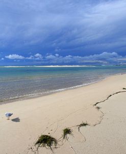 The Entrance Beach 2