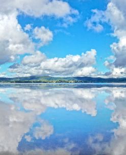 Tuggerah Lake Reflections