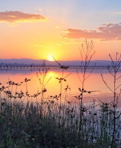 Tuggerah Lake Sunset