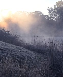 Magic of Morning Light