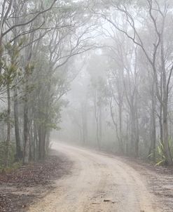 Foggy Path