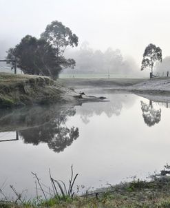 Foggy Reflections