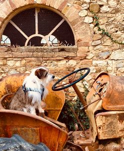 Archibald the Farmer