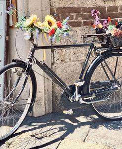 Artisan Bicycle Siena