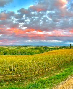 Chapel in the Vines