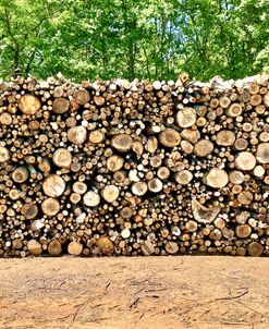 OCD Logging